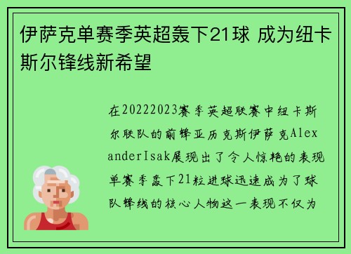 伊萨克单赛季英超轰下21球 成为纽卡斯尔锋线新希望 伊萨克单赛季英超轰下21球 成为纽卡斯尔锋线新希望